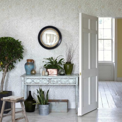 Orange Tree 216401